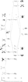 Thumbnail for version as of 19:33, 1 December 2010