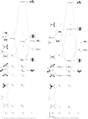 Thumbnail for version as of 14:47, 30 November 2010