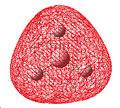 Thumbnail for version as of 15:57, 29 January 2009