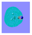 Thumbnail for version as of 10:07, 16 March 2010