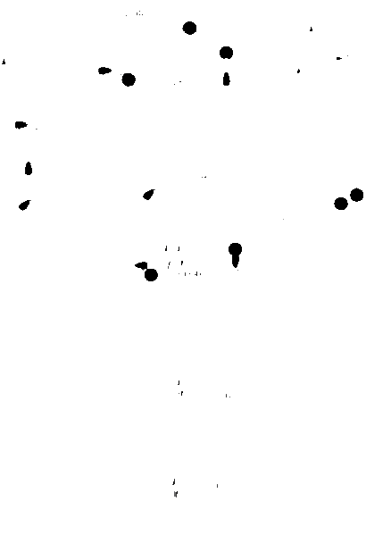 File:BH3 redrawn MO.gif
