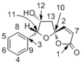 Thumbnail for version as of 08:29, 27 November 2009