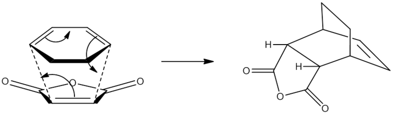 File:Endo dielsalder sl2010.png