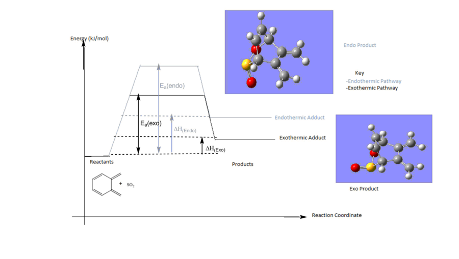 exercise 3 reactionpathway