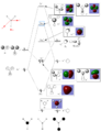 Thumbnail for version as of 11:23, 6 March 2015