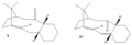 Thumbnail for version as of 16:16, 7 December 2012