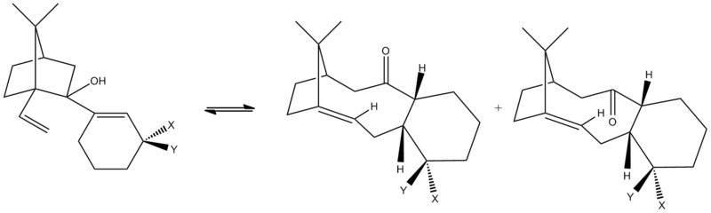 File:Lg11096.png