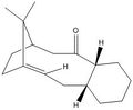 Thumbnail for version as of 17:00, 26 January 2010