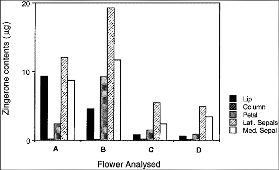 File:Zingerone flower parts.bmp